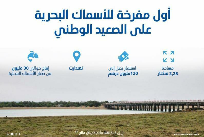 مشروع استثماري في الصيد البحري