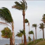 نشرة إنذارية