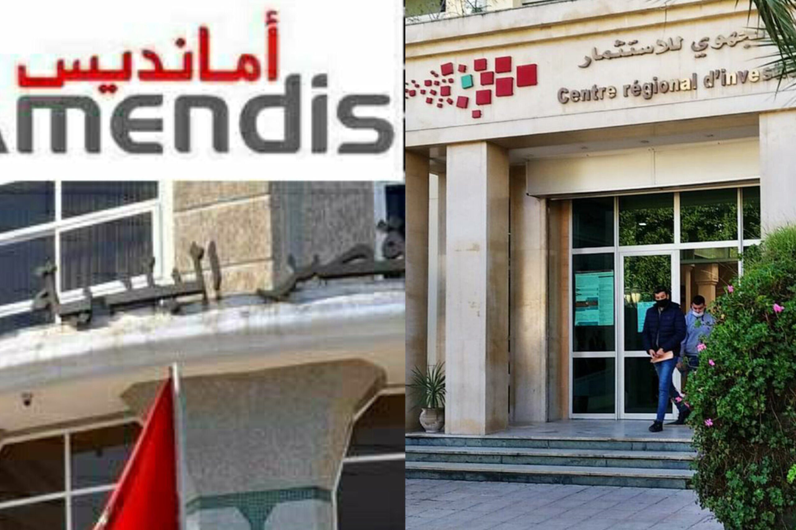 أمانديس
