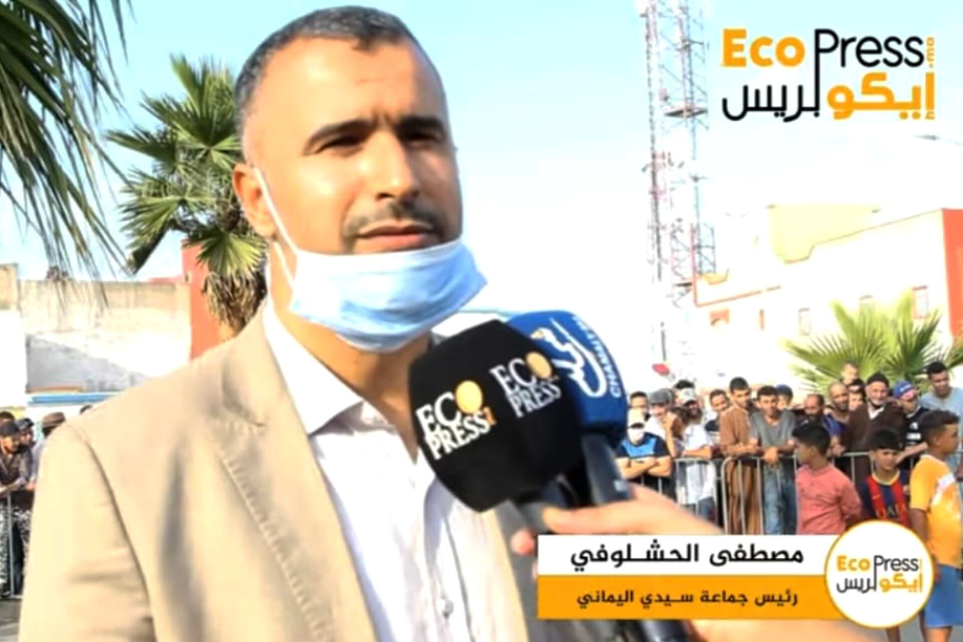 مصطفي الحشلوفي