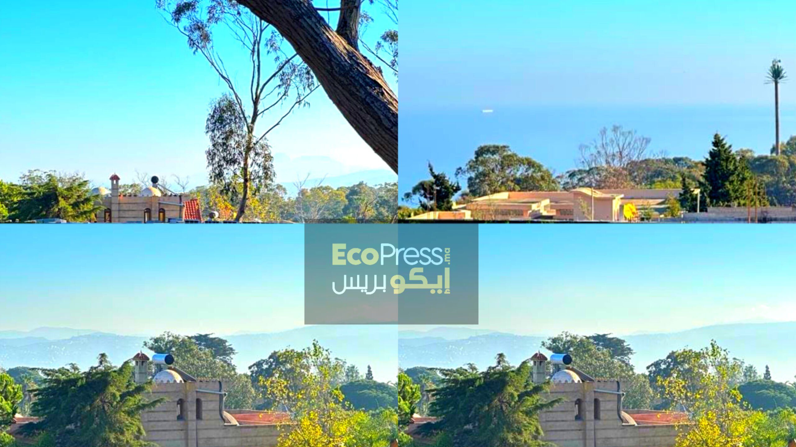 بنايات عشوائية وسط الغابات