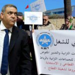 احتجاجات المنظمة الديمقراطية