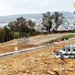 تجزئة التفاح