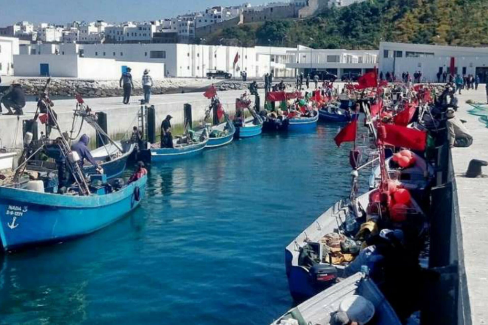 الصيد البحري بميناء طنجة