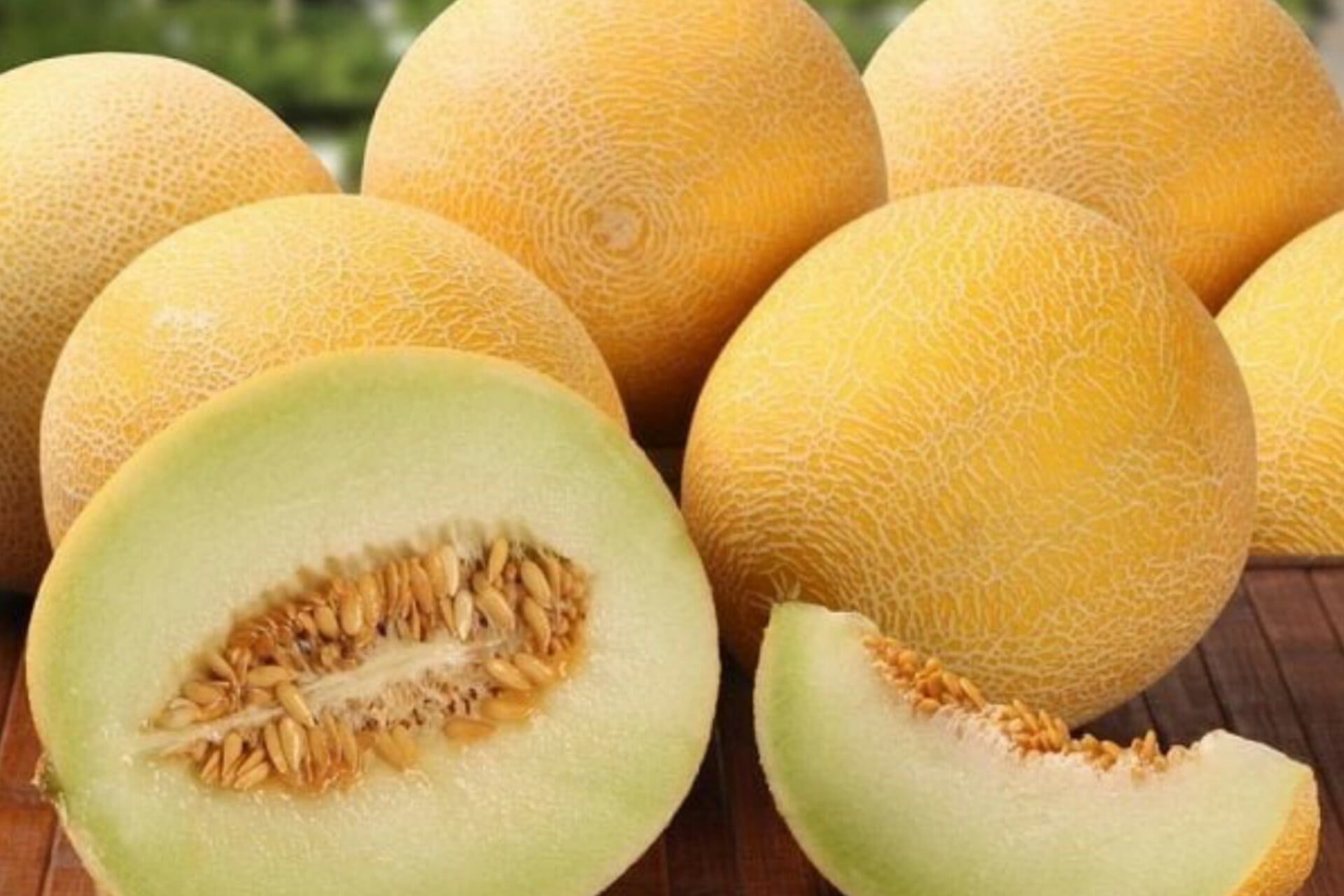 البطيخ