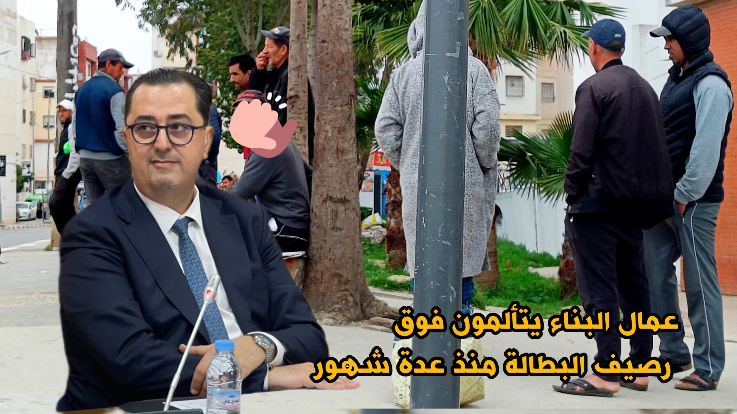 تازي