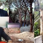 مرصد حماية البيئة