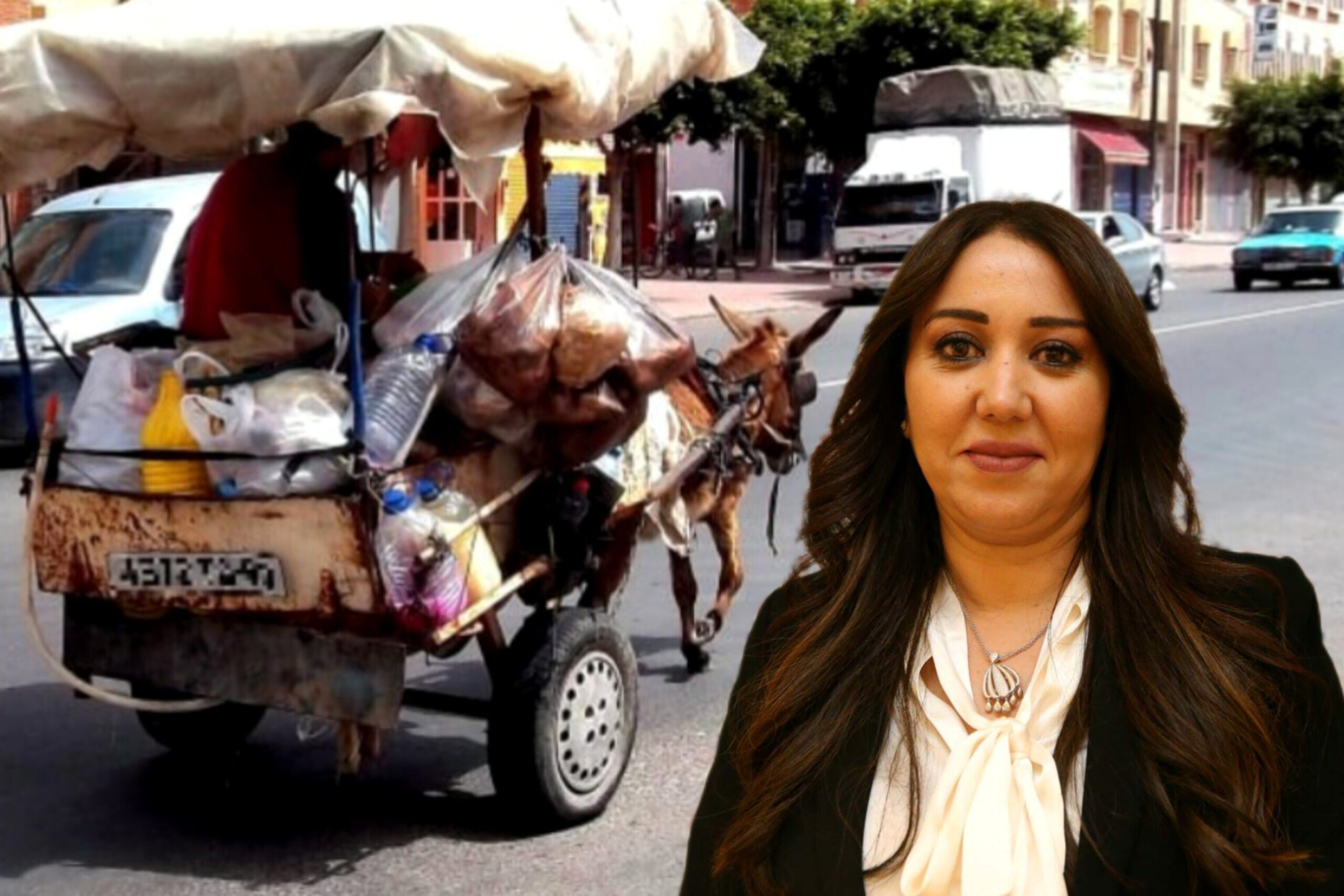 مظاهر الترييف والبداوة