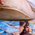 أزمة النقود الورقية