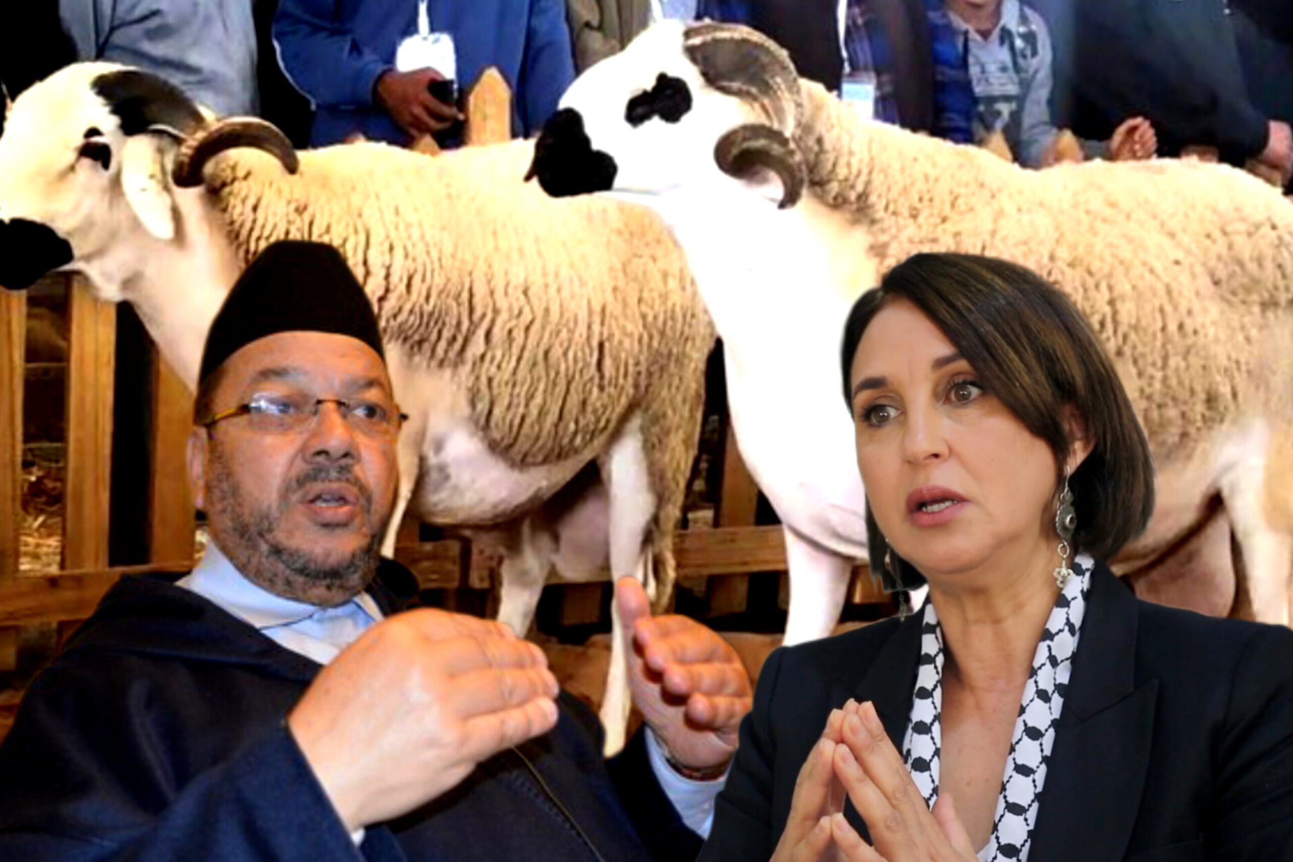 الحولي