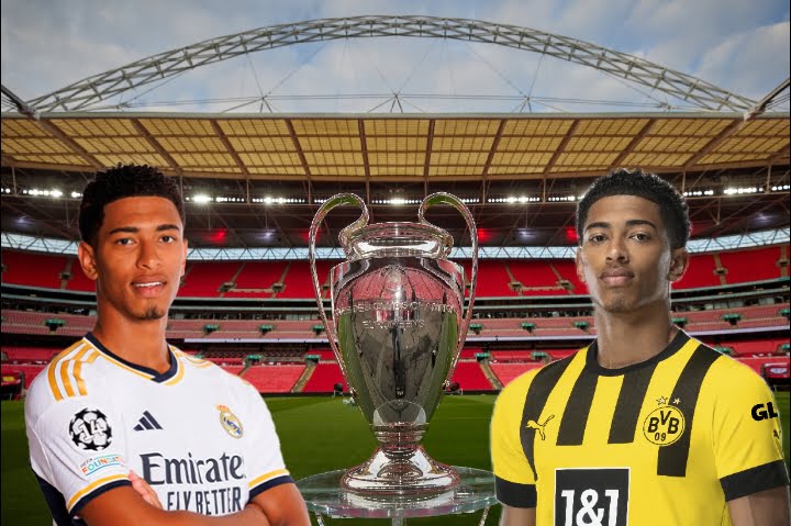 بيلينجهام دوري الأبطال