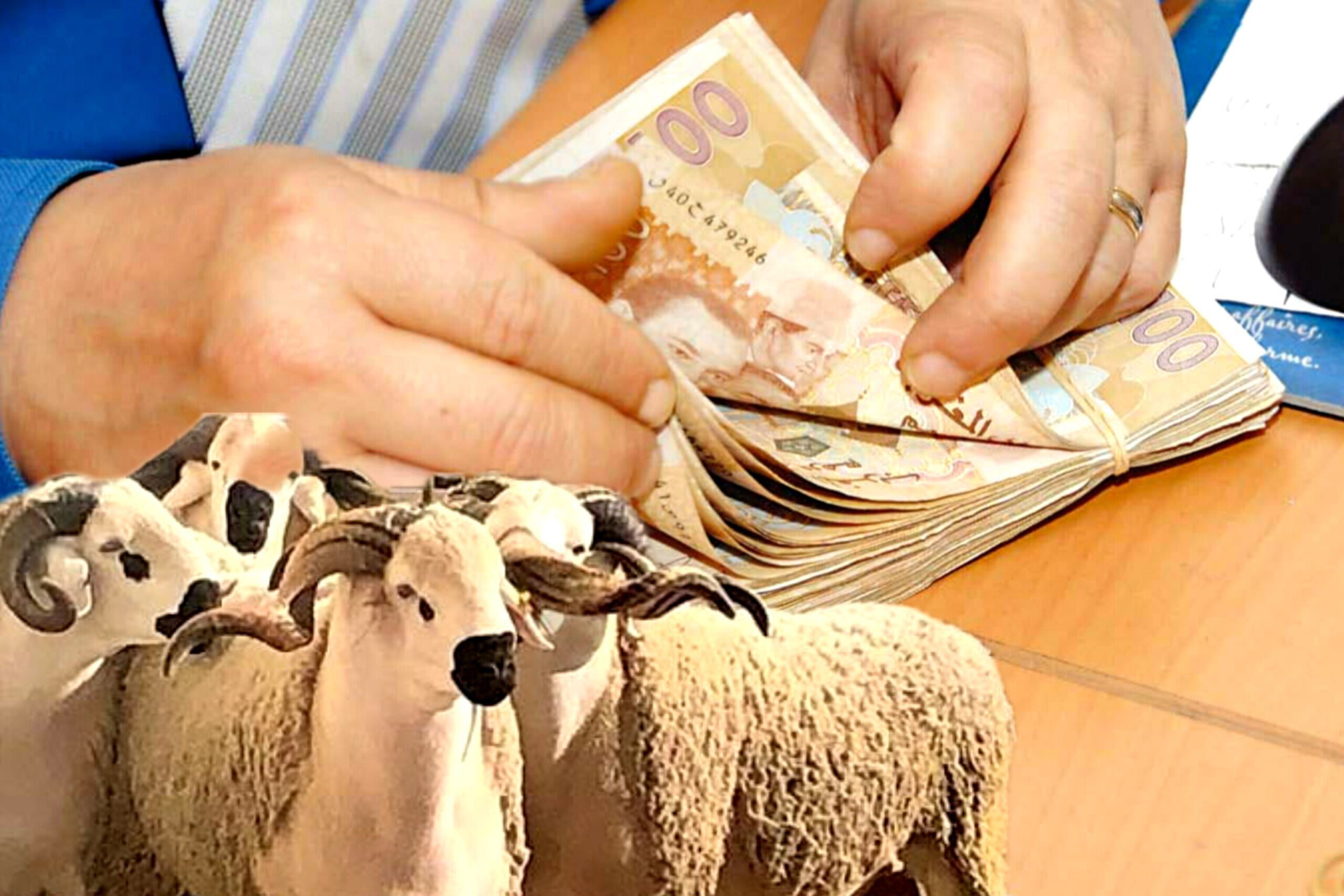 عيد الاضحى المغرب