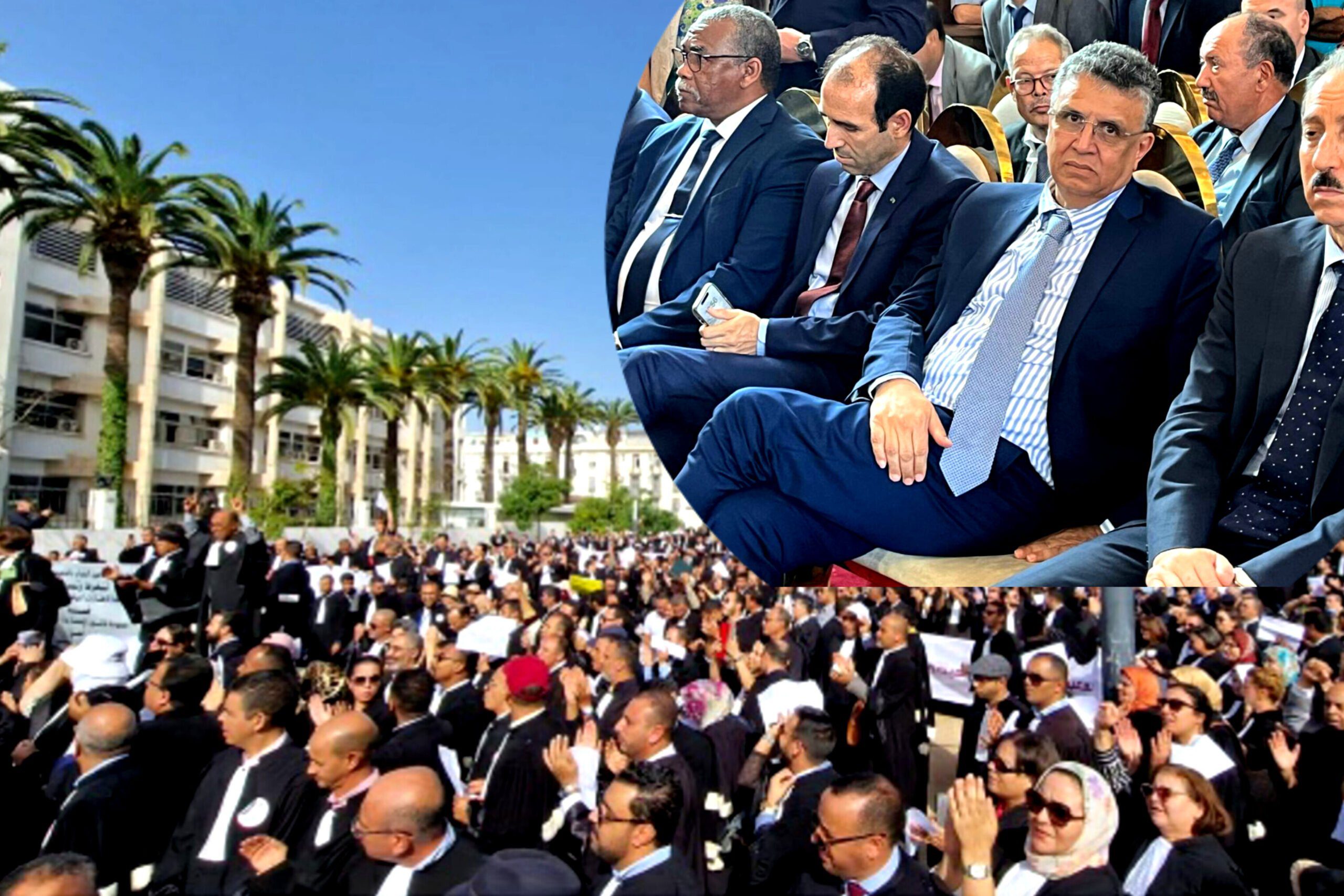 وهبي و المحامون
