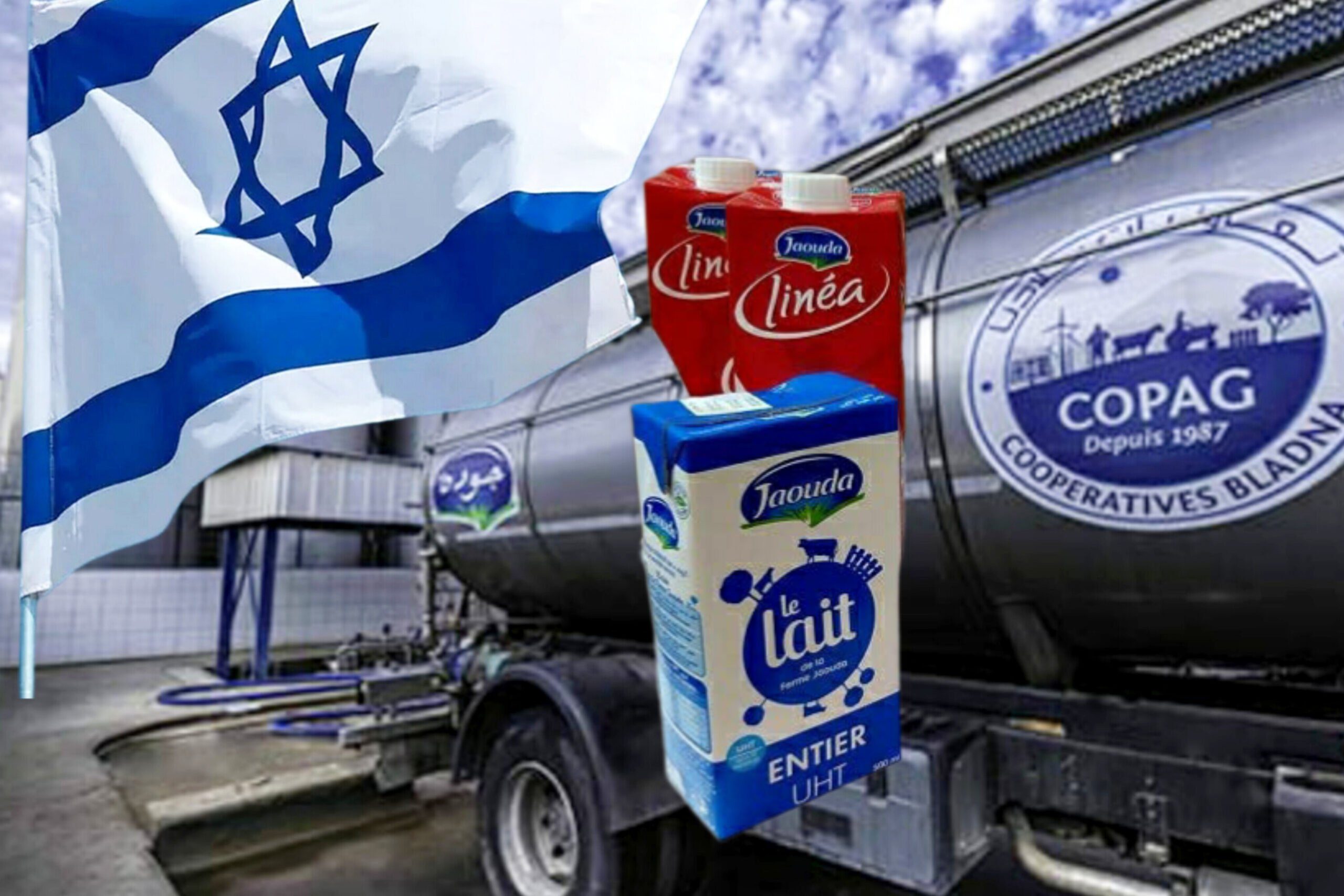 شركة جودة