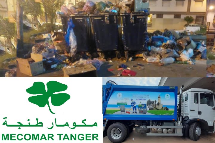 شركة مكومار طنجة