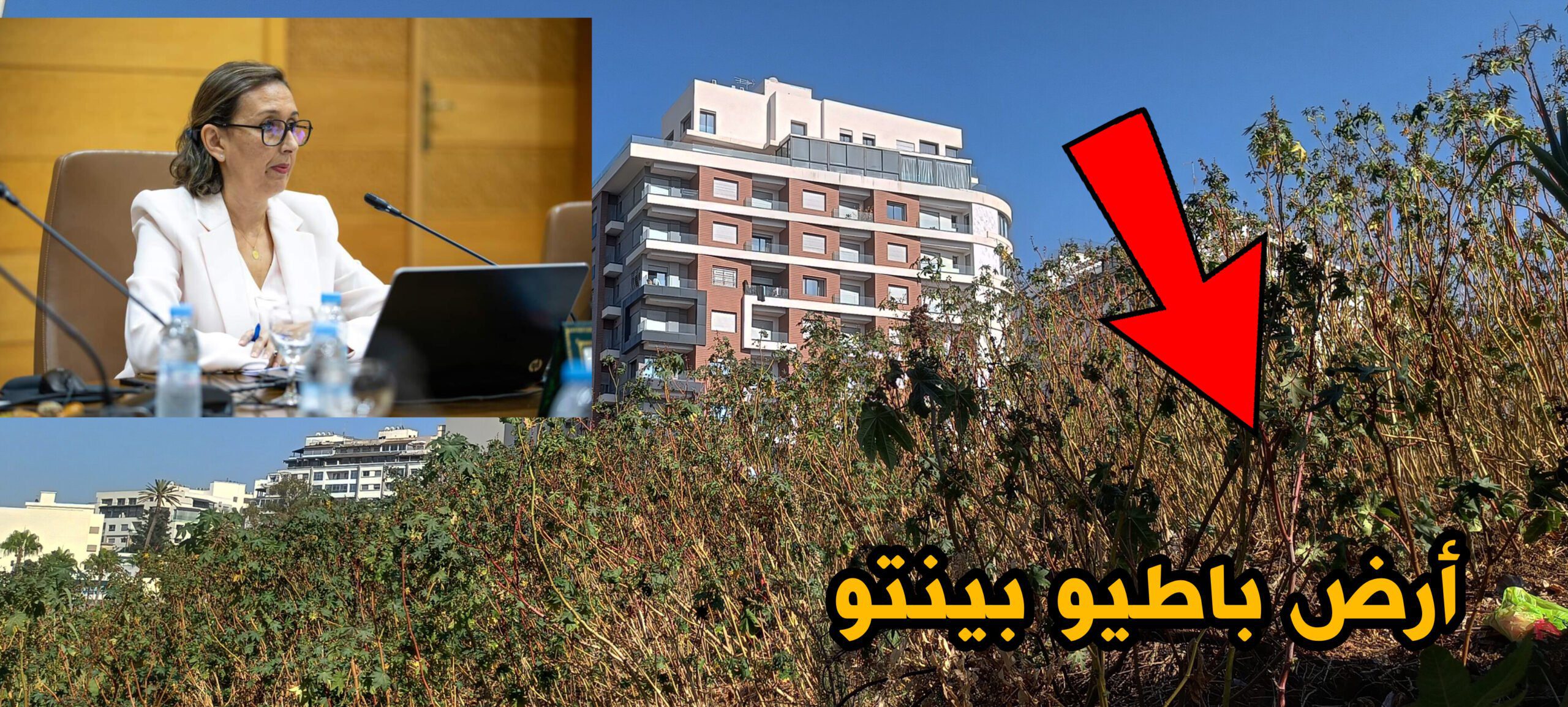 الوكالة الحضرية طنجة
