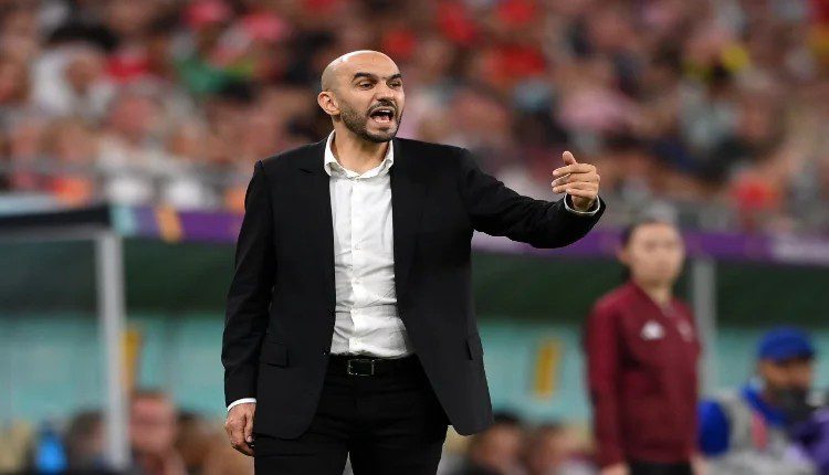 وليد الركراكي المنتخب الوطني