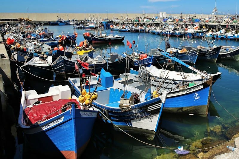 أزمة جديدة للصيد البحري في طنجة.. تراجع صيد السمك