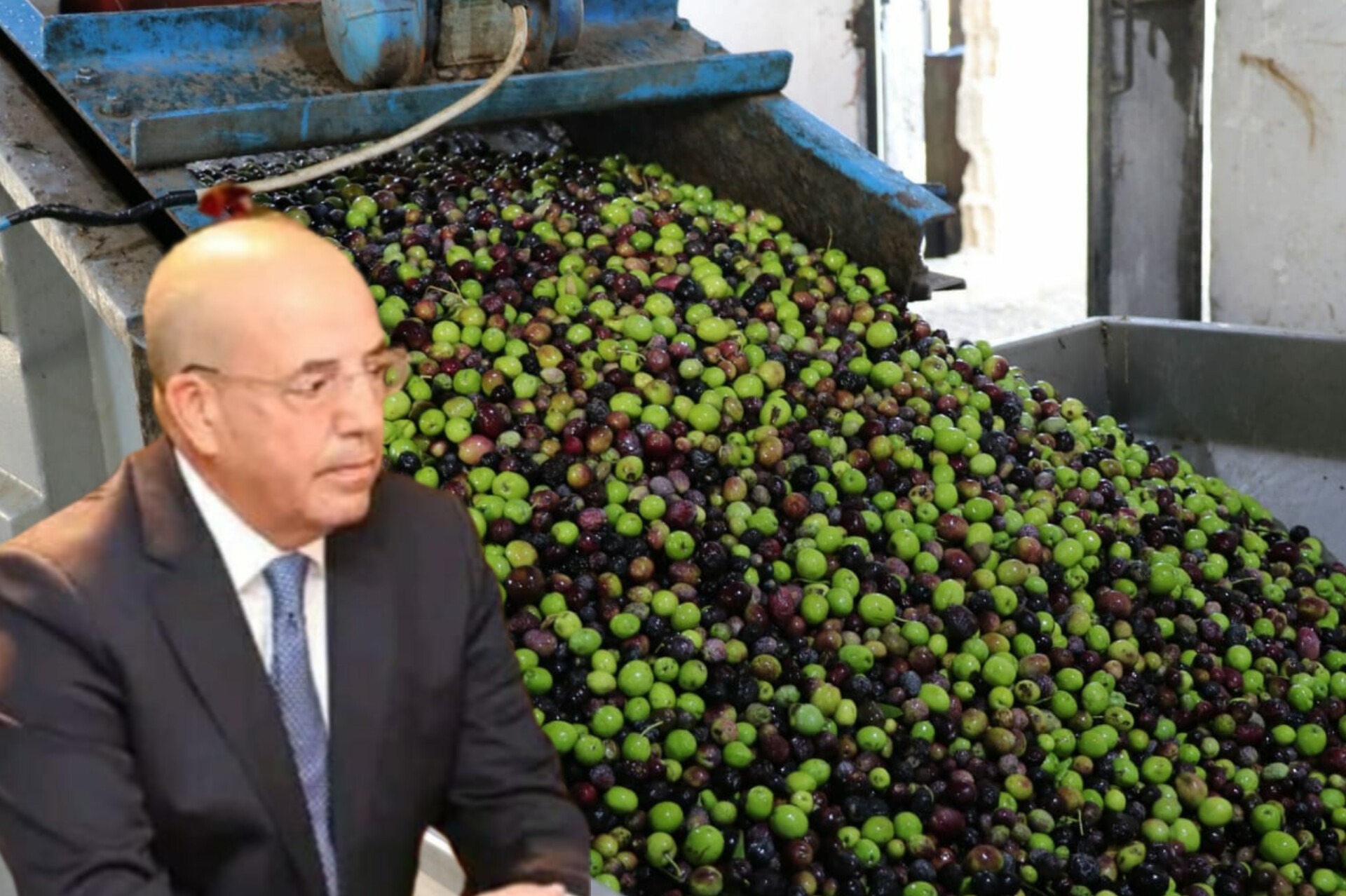 زيت الزيتون.. توقعات حجم الانتاج هذا العام بالمغرب
