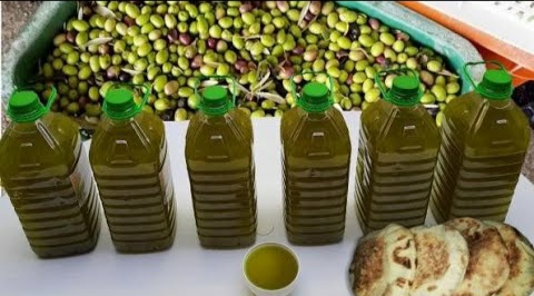 زيت الزيتون.. توقعات حجم الانتاج هذا العام بالمغرب