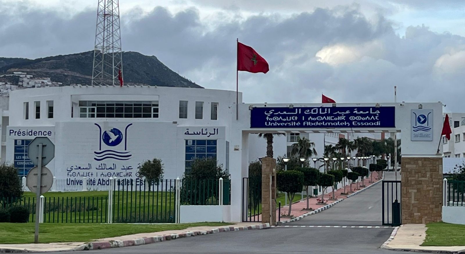 جامعة عبد المالك السعدي