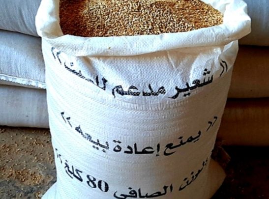 توزيع الشعير المدعم