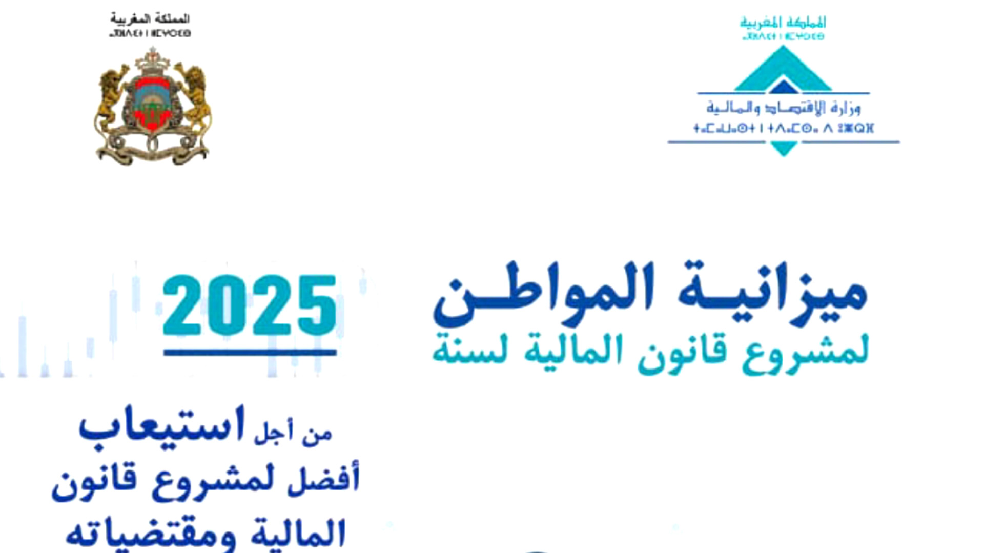 ميزانية المواطن 