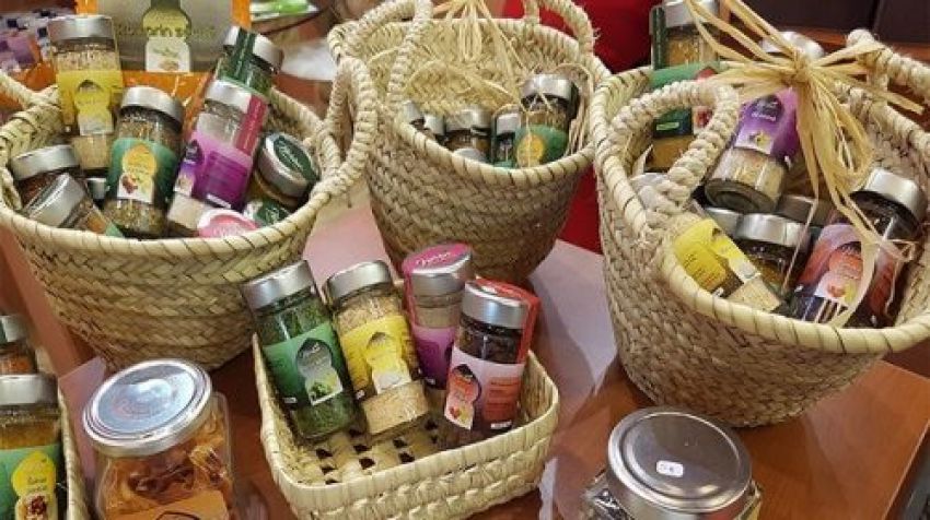أمريكا تدعم التعاونيات في المغرب