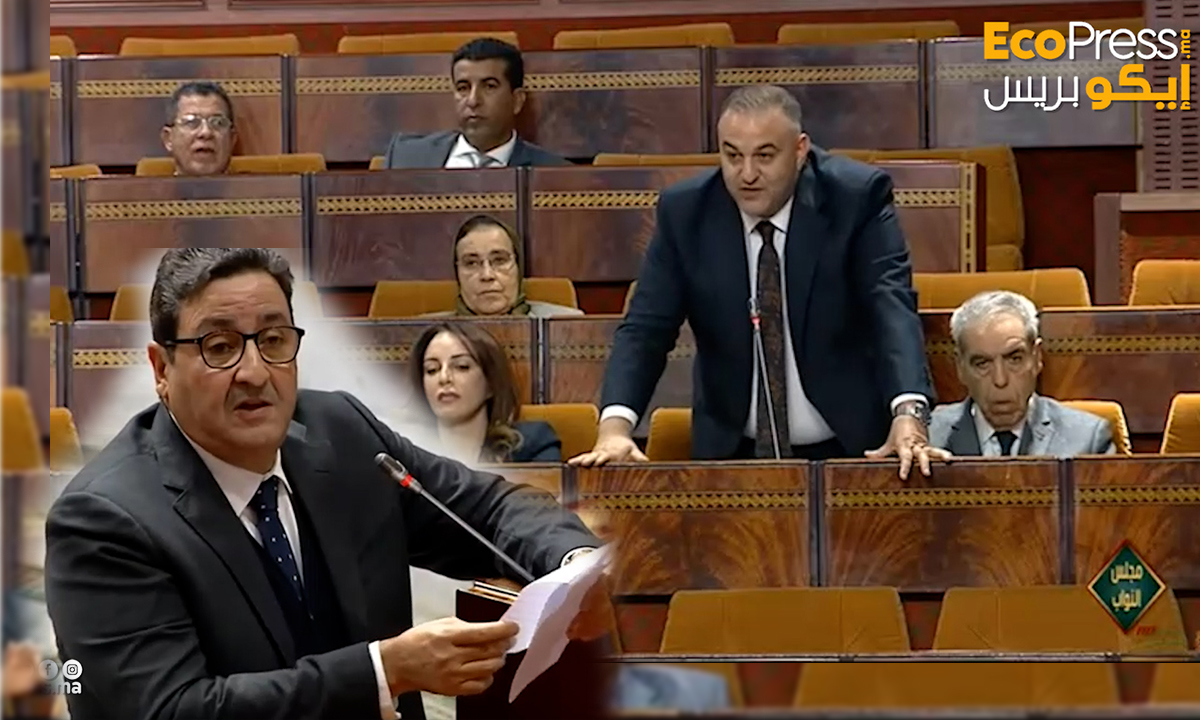 البرلماني منصف الطوب يطالب تعزيز تنافسية النقل الجوي