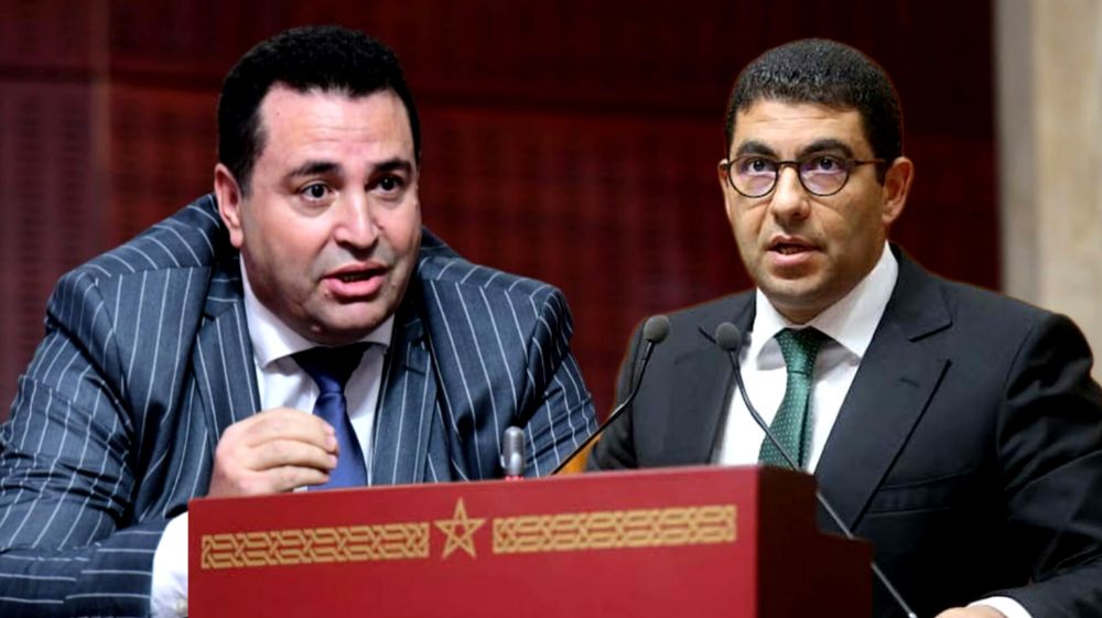 برلماني يحاصر الوزير بنسعيد بخصوص التمييز اللادستوري للقرار المشترك