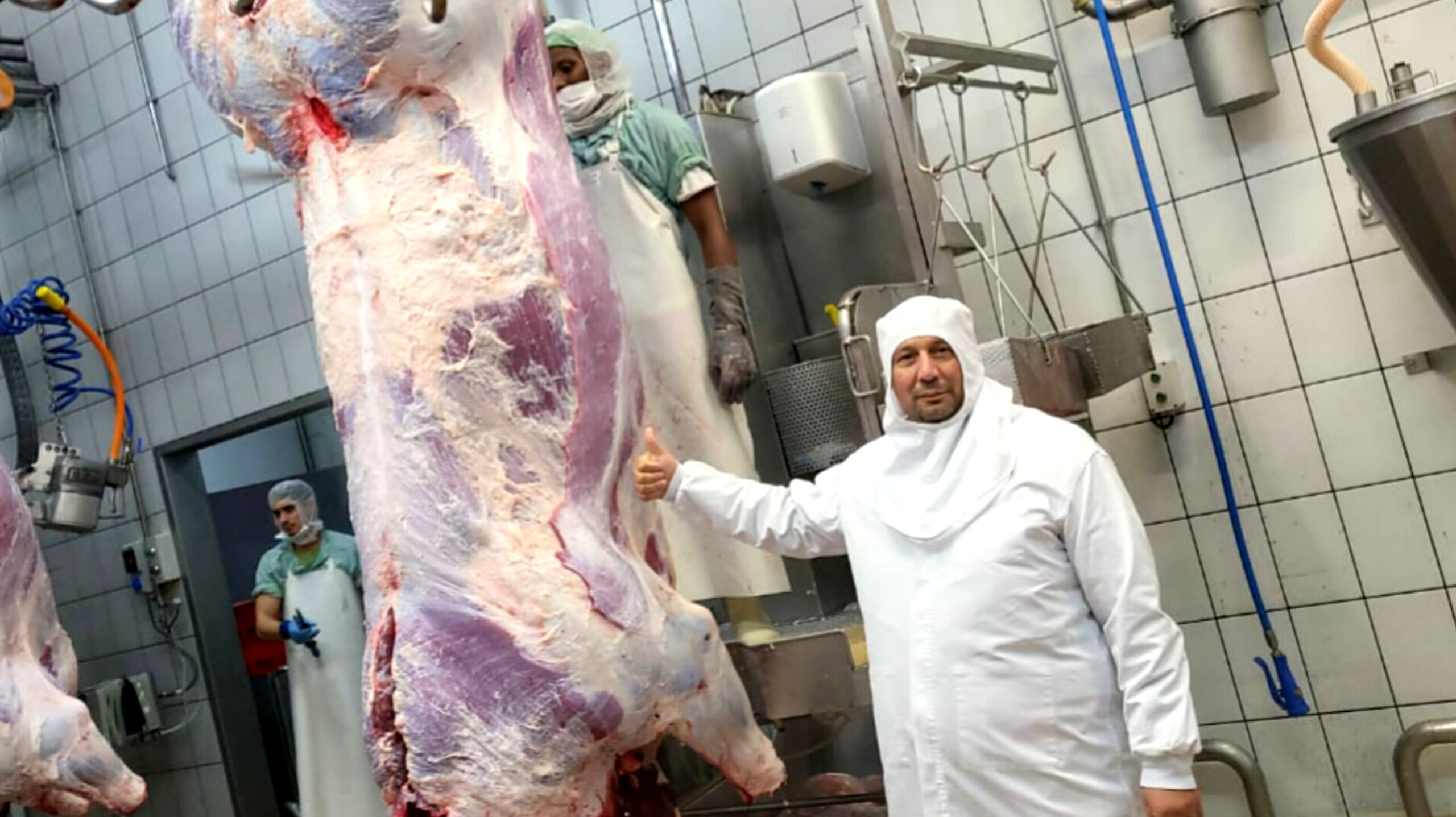 مهني اللحوم يؤكد انخفاض أثمان الغنمي ولحم البقر في الأسواق المغربية
