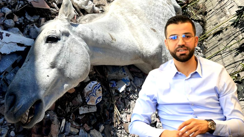 عبد العظيم الطويل يرد على واقعة الخيول المحتجزة