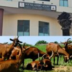 حملة انتخابية سابقة لأوانها بإمكانيات الدولة تصل البرلمان وتستنفر سلطات طنجة