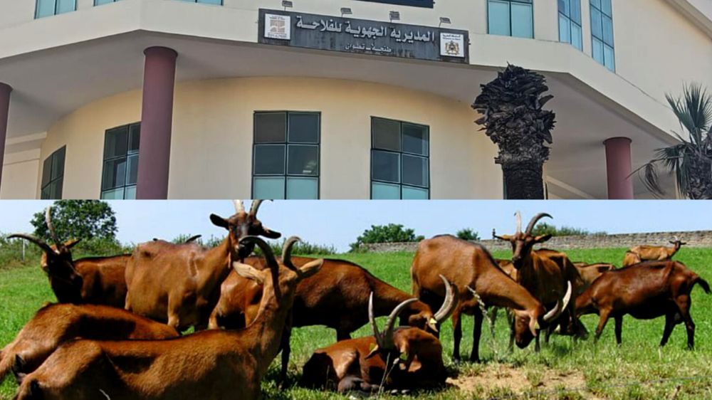 حملة انتخابية سابقة لأوانها بإمكانيات الدولة تصل البرلمان وتستنفر سلطات طنجة