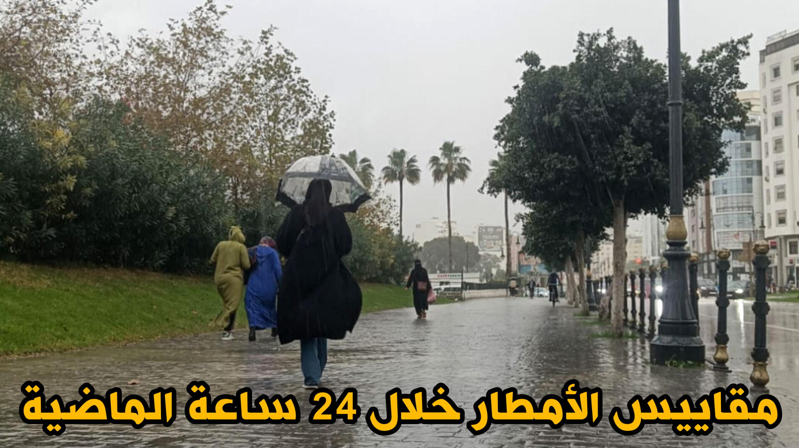 طنجة تتصدر مقاييس التساقطات المطرية بالمملكة خلال 24 ساعة الماضية