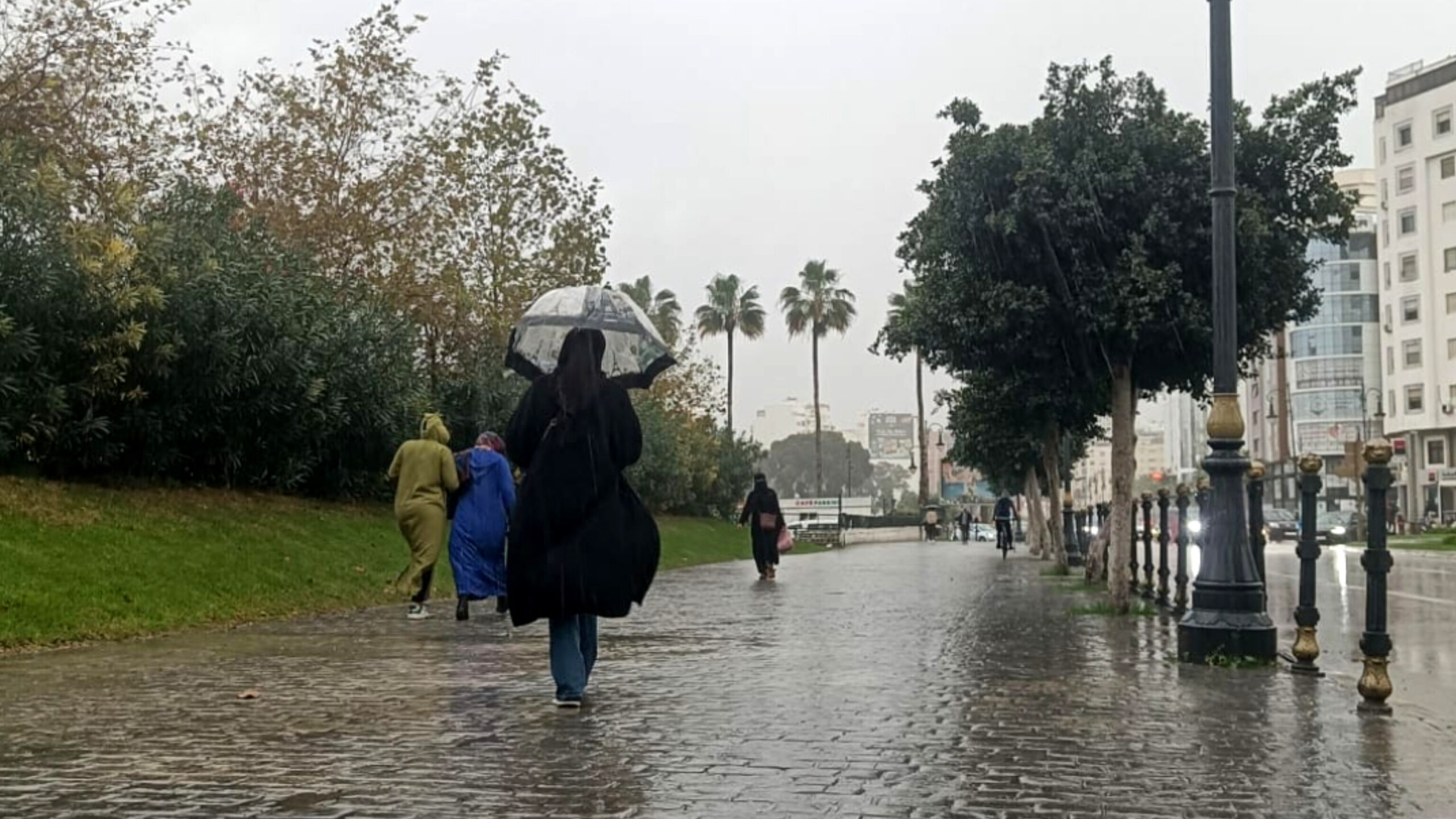 أمطار مرتقبة بطنجة غدا الإثنين.. مديرية الأرصاد تكشف التفاصيل
