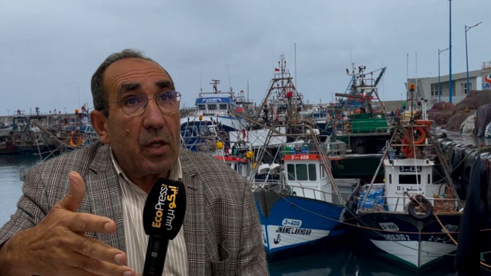 أرباب مراكب الصيد بطنجة يحذرون من تدهور قطاع الصيد البحري وارتفاع تكاليف التشغيل