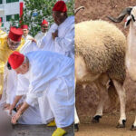 إلغاء ذبح الأضحية