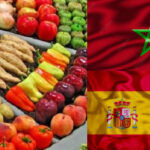 صادرات المغرب من المنتجات الزراعية نحو إسبانيا ترتفع