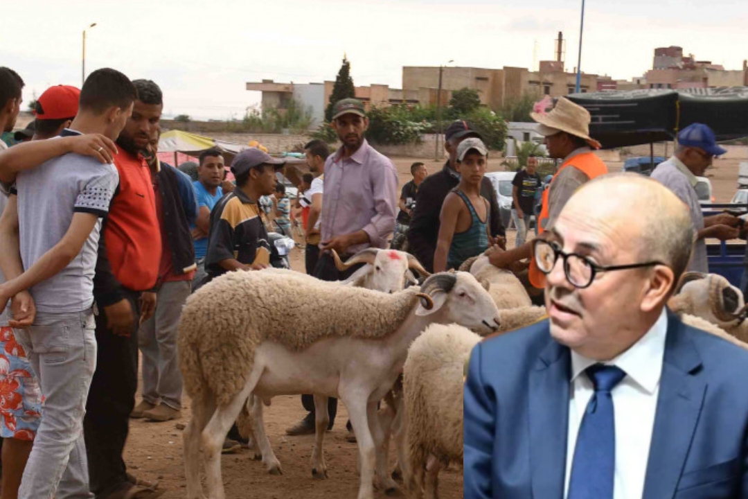 وزير الفلاحة يكشف تفاصيل إلغاء نحر الأضحية بالمغرب