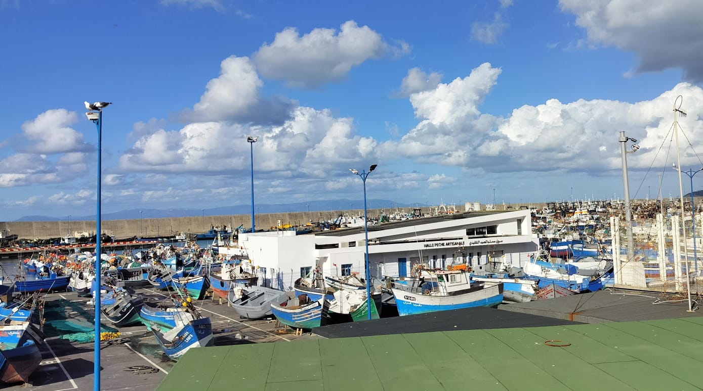 مفرغات الصيد البحري بميناء طنجة تتراجع بنسبة 11 في المائة
