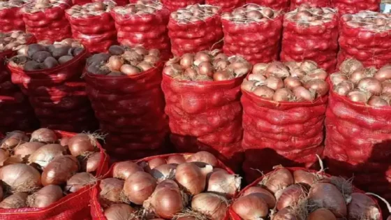ارتفاع أسعار البصل في المغرب بين العرض والطلب وتحديات التخزين