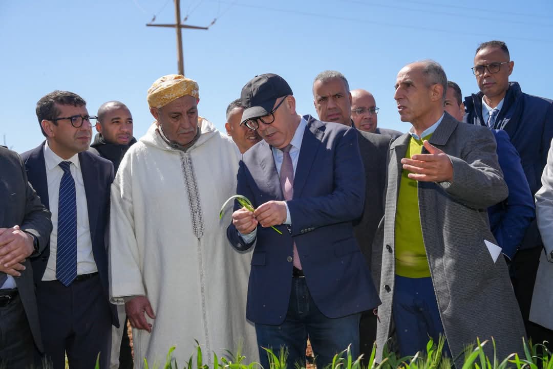 المعرض الدولي للفلاحة بمكناس.. تحديات ومفارقات خلف الأضواء المسلطة