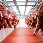 مهني يكشف أسباب ارتفاع أسعار اللحوم الحمراء مع حلول ذي القعدة