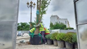 ساحة فارو أو سور المعكازين الشهيرة بطنجة ترى النور في حلة جديدة 