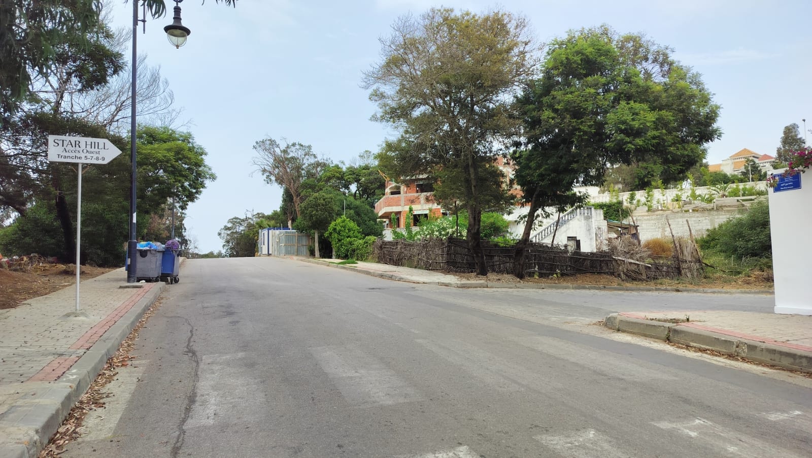 من يحكم طنجة؟ .. لوبي العقار يزحف على المجال الغابوي