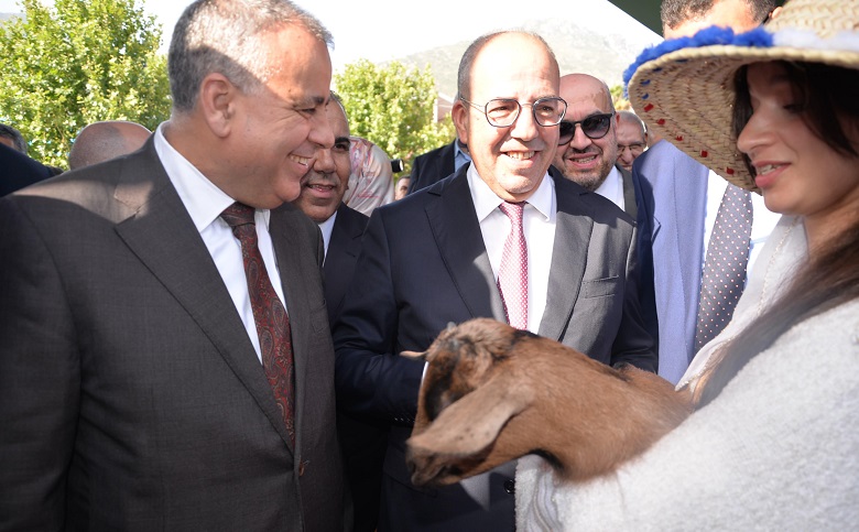 شفشاون: افتتاح المعرض الجهوي للماعز بحضور وزير الفلاحة أحمد البواري