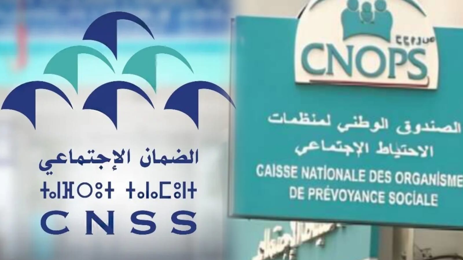 مستجدات جديدة حول دمج "كنوبس" في "CNSS" تحت قبة البرلمان