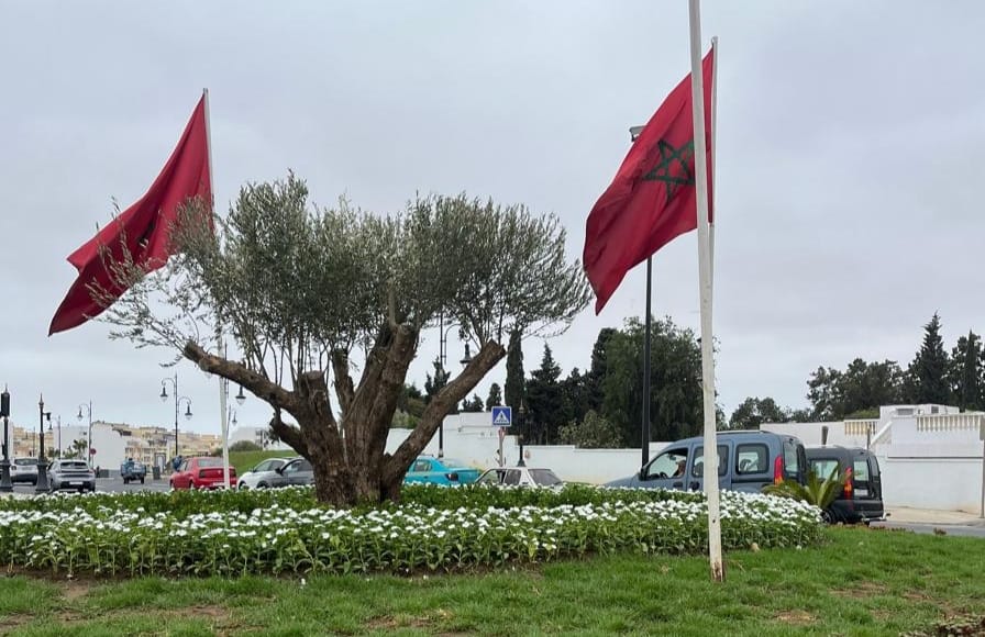 زيارة مرتقبة لولي العهد الأمير مولاي الحسن لطنجة