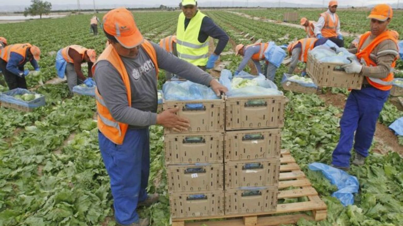 العمال الأجانب يعززون الاقتصاد الإسباني.. والمغاربة في صدارة التعداد
